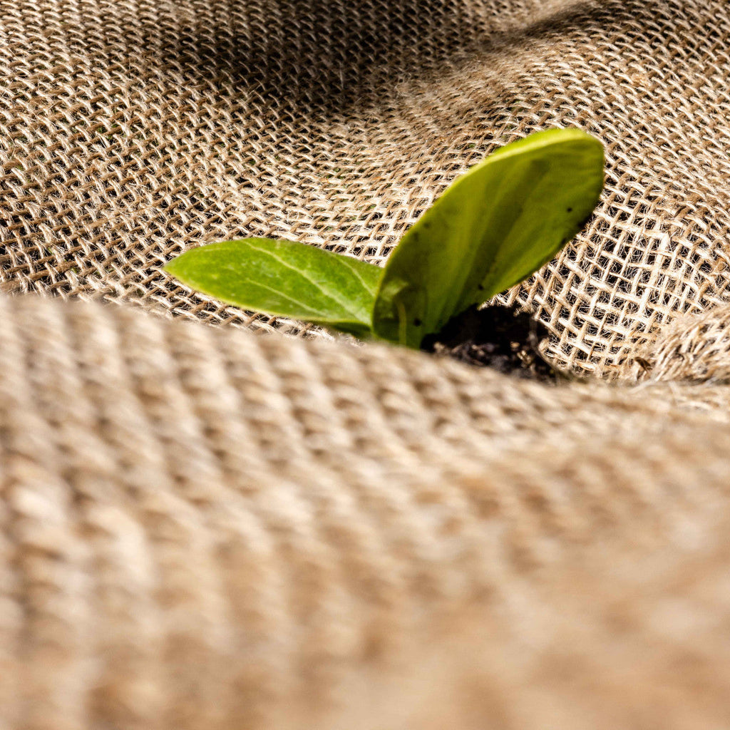 Natural Hessian Fabric Roll – Multi-Season Garden, Frost & Moisture Protection